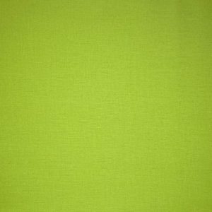 Summer House Lime by Bella Solids – M9900-173