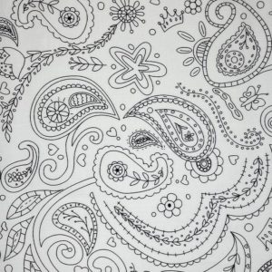 color-me-hayley-crouse-6807-white