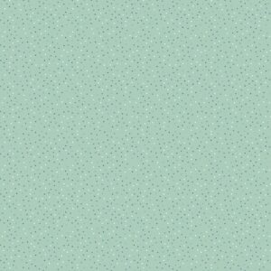 Country Confetti Mint by Poppie Cotton - CC20185